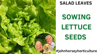 HOW TO SOW LETTUCE SEEDS - SOWING TOM THUMB LETTUCE