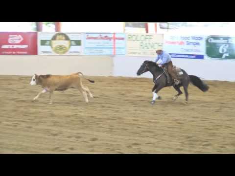 Ima One Time Wonder  NSHA August Cow Work