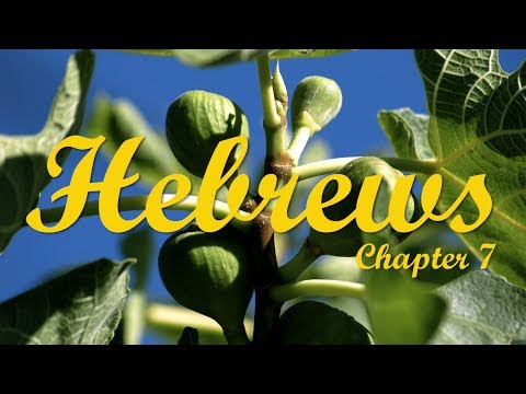 Hebrews chapter 7 Bible Study