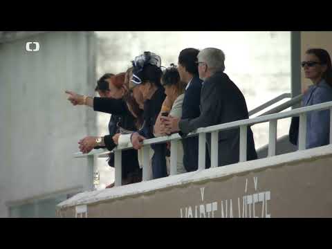 6. 9. 2025 - 3. dostih - Cena společnosti Matrix