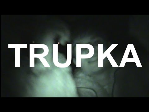 VLAYZ X SANCHEZZA - TRUPKA