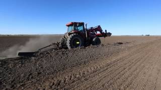 Sowing Rice in Australia