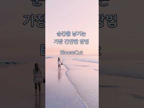 BloomCut(블룸컷) - 로그인 없는 영상 편집 video thumbnail