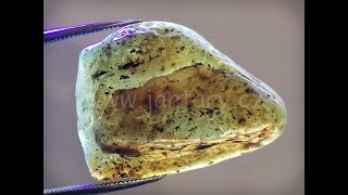 Okno do baltského jantaru PO-44