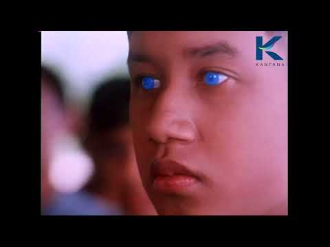 Trailer กาเหว่าที่บางเพลง