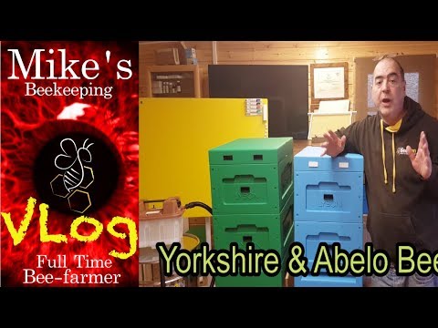 Yorkshire Trip Beast From The East 2 And Abelo Beekeeping Open Day