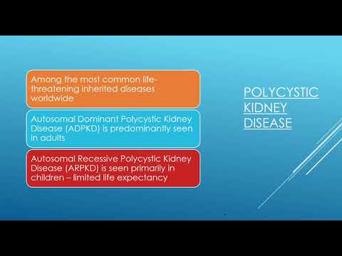 Intra-renal Pathology, PCKD