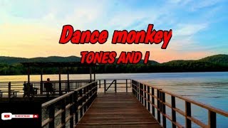 Dance monkey