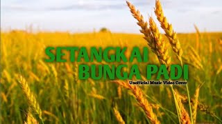 Download lagu SETANGKAI BUNGA PADI - Santa Hoky [Unofficial ] || SMK Tunas Multi Raya mp3