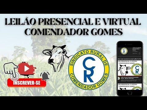 Leilão Presencial e Virtual Comendador Gomes - MG Dia 24/03/2026