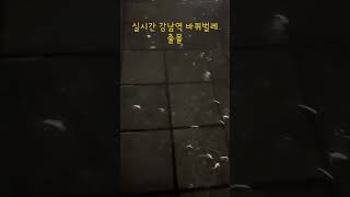 혐오주의] 실시간 강남역 바퀴벌레들
