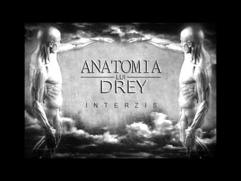 Drey - Interzis! (Feat.Cocoon Kills)