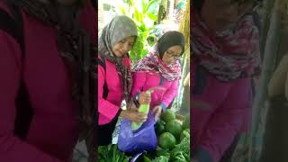 Download lagu Gokil Abis... Rebutan Terong2an mp3 Download lagu Gokil Abis... Rebutan Terong2an mp3