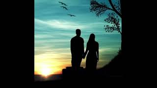 The Royal Philharmonic Orchestra - Nights In White Satin.