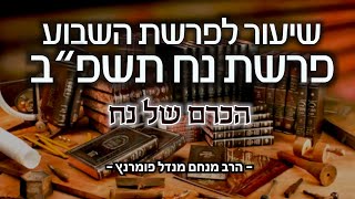 הרב מנחם מנדל פומרנץ | שיעור פרשת נח תשפ"ב • הכרם של נח •