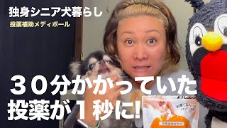 【独身シニア犬暮らし】ワンちゃんのお薬時間が30分から1秒に！