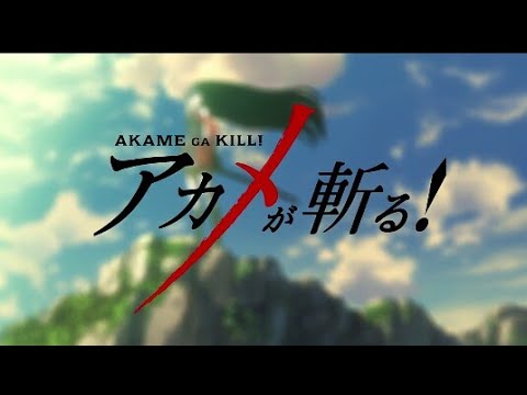 Akame ga Kill! Skyreach Sora Amamiya