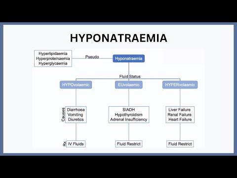 Hyponatraemia Explained