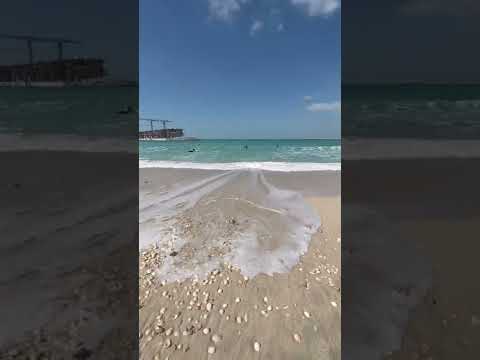 Jumeriah Public Beach 🏖 Dubai
