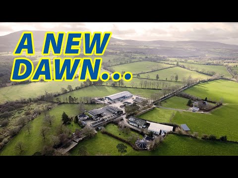 Irish Dairy - A New Dawn