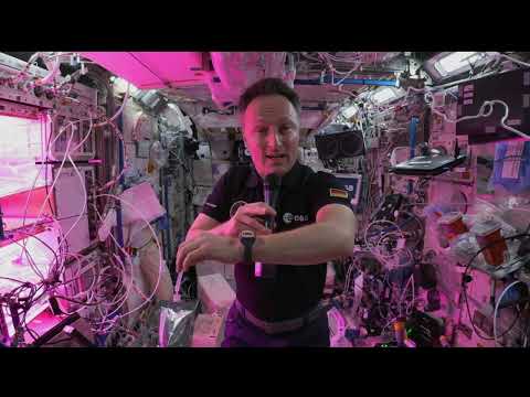 Expedition 66 Astronaut Matthias Maurer Talks with Children’s Chain Education Group - Jan. 14, 2022