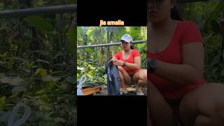 Download lagu jia amalia make a food #jia #shortvideo mp3
