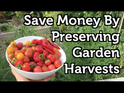 download lagu mp3 mp4 Preservation Of Fruits And Vegetables, download lagu Preservation Of Fruits And Vegetables gratis, unduh video klip Preservation Of Fruits And Vegetables