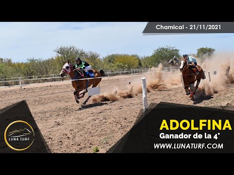 HIP. "EL QUEBRACHAL" CHAMICAL L.R. -21/11/2021 - ADOLFINA, DON LEUCARIO y MAGICO