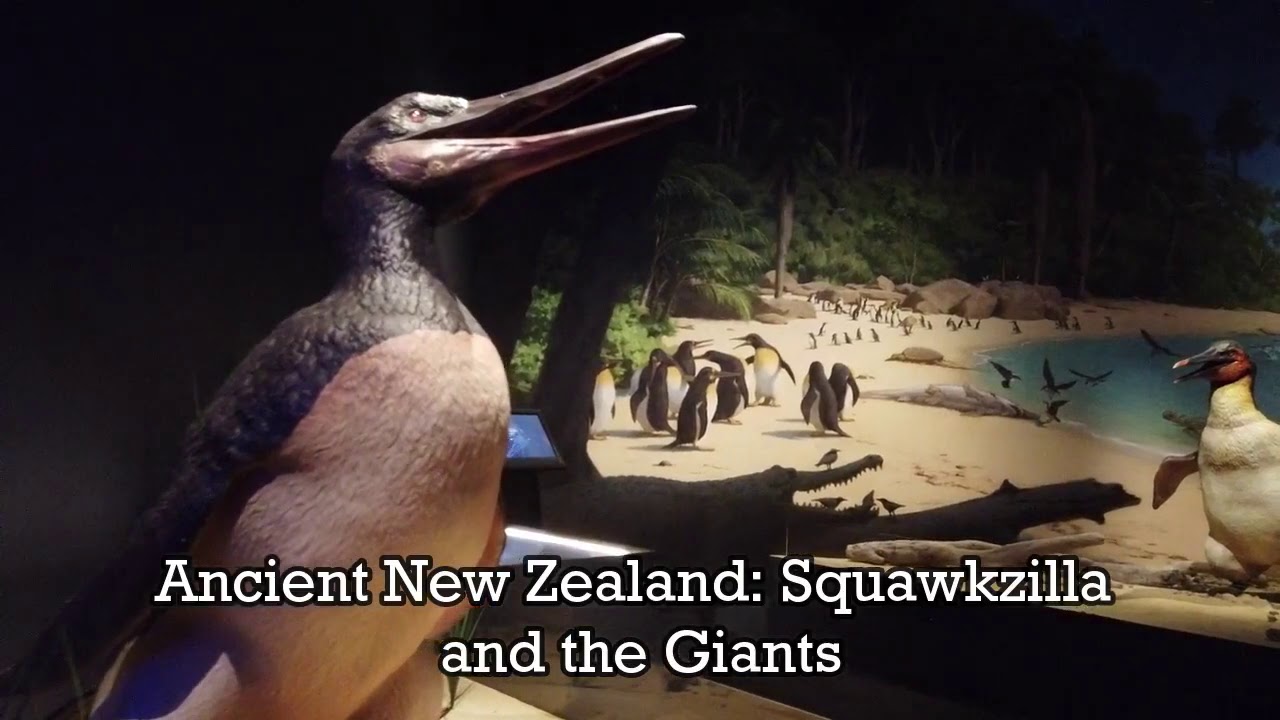 Explore the Canterbury Museum in this captivating video