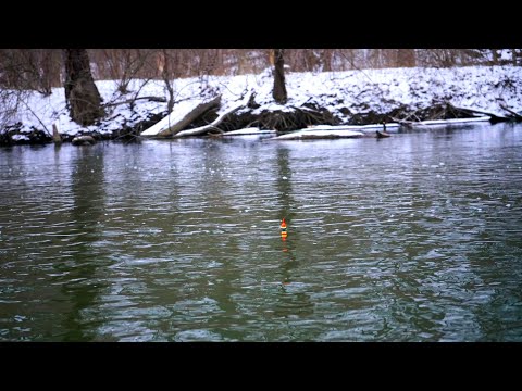 Cold Winter Steelhead BOBBER DOWNS! + CATCH N COOK