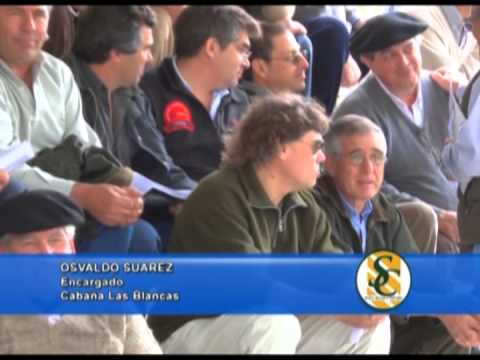 OSVALDO SUAREZ - Cabaña: Surangus - Las Blancas - La Fe - Huanguelen - 02/10/2013
