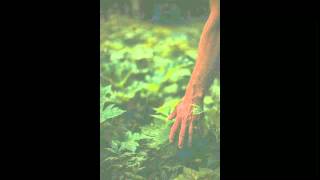 Whatever Leads Me To You by Geoffrey O'Connor