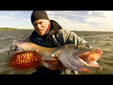 Video trailer för Welcome To The Official River Monsters™ Channel