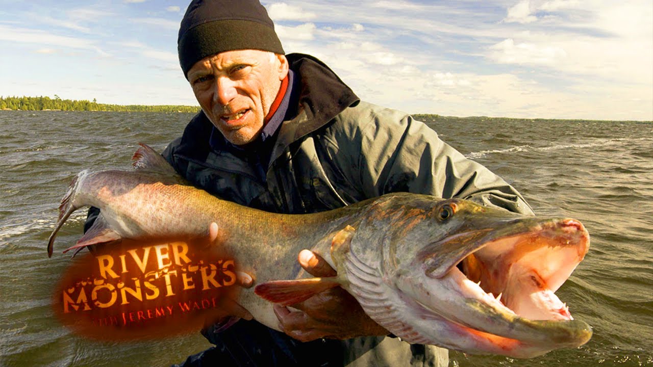 Welcome To The Official River Monsters™ Channel
