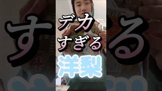 デカすぎる洋梨