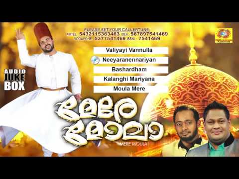 Mere Maula |  മേരേ മോലാ | Soufi Music | Malayalam Mappilapattukal | Mappila Album