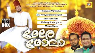 Mere Maula |  മേരേ മോലാ | Soufi Music | Latest Malayalam Mappilapattukal | New Mappila Album