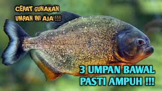 Download lagu 3 UMPAN BAWAL PASTI AMPUH !!! mp3 Download lagu 3 UMPAN BAWAL PASTI AMPUH !!! mp3