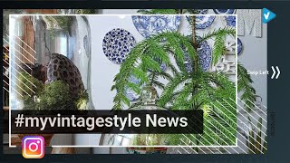 Top 10 #myvintagestyle Posts & Updates, Starring: lorriecos