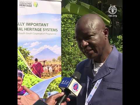 Africa has the expertise and potential