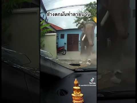 1 มิถุนายน 2569