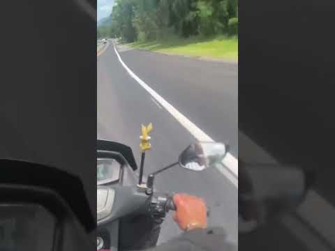 viajando pra Pedro de Toledo sp