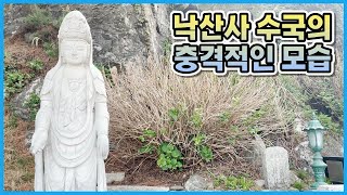 양양 낙산사 수국의 충격적인 봄철 모습!! 낙산사 수국 어디에 있는지 정확히 알고 가세요!!