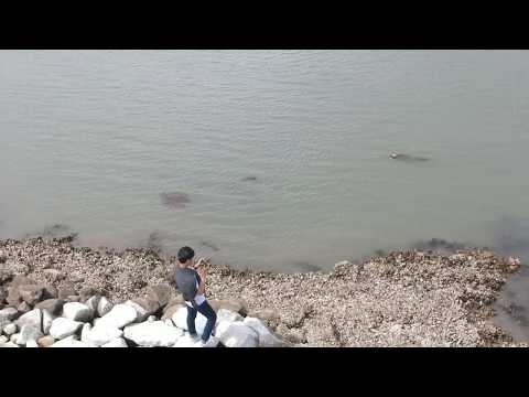 Arash - Pure Love [ MATSUSHIMA JAPAN BEACH ]