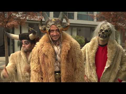 KAJ DOGAJA - PARKLJI