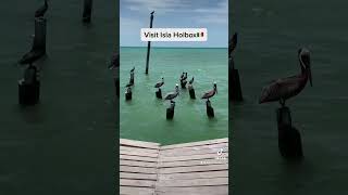 Things to Know Before You Visit Isla Holbox, Mexico | Solo Travel Tips