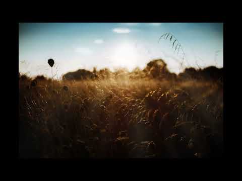 Stanisław Niewiadomski- Wiem ja coś