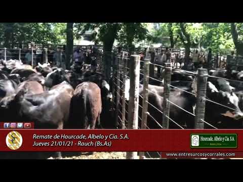 21-01-21 - Remate de Hourcade, Albelo y Cía. S.A. - Rauch, Bs.As.