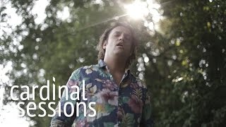 Terra Profonda - Sailor - CARDINAL SESSIONS (Haldern Pop Special)