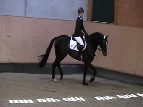 Uno I v. Uriko - Ende April 2018 Hengstschau Offenhausen